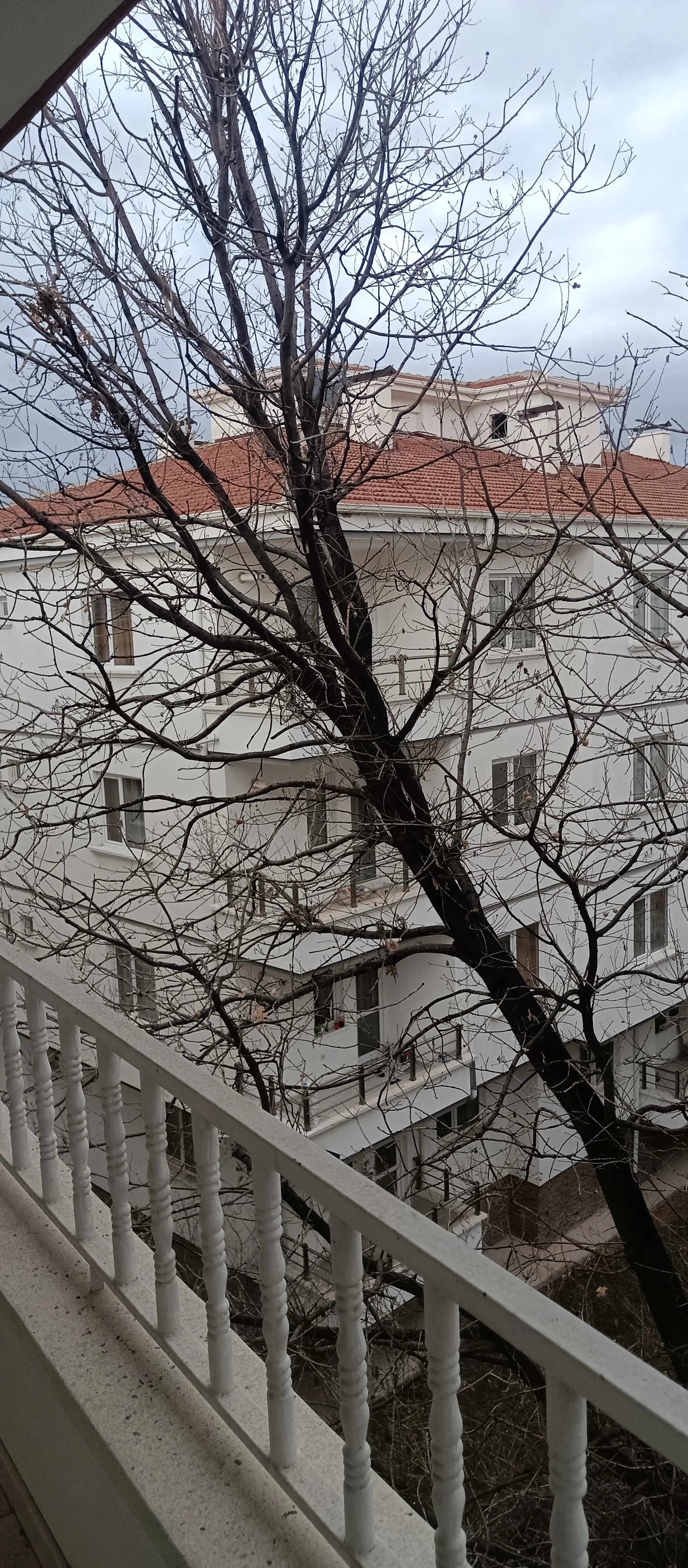 Taşpazar Şehrin Göbeğinde Uygun Fiyat 3+1 Daire